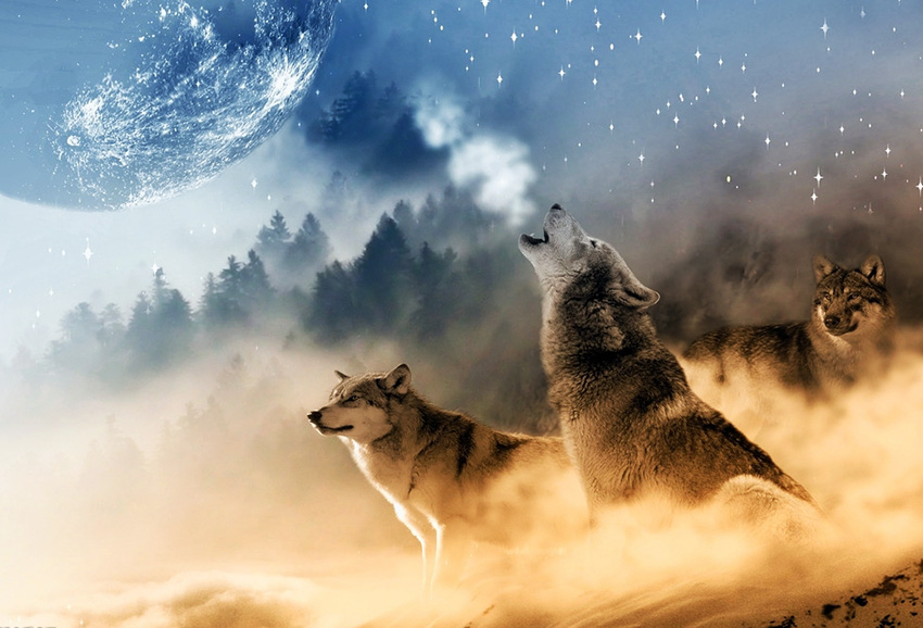 篷房租賃,篷房出租,倉儲篷房,婚慶篷房,篷房廠家,篷房